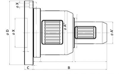 Bidiametraler Spanndorn